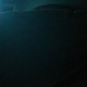 Meet your Posher, Rose